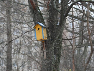 An empty wooden birdhouse on a  tree in the garden in autumn