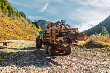 Forest industry. Wheel mounted loader, timber grab. Felling of trees, cut trees, forest cutting area, forest protection concept. Lumberjack with modern harvester working in a forest. - obrazy, fototapety, plakaty