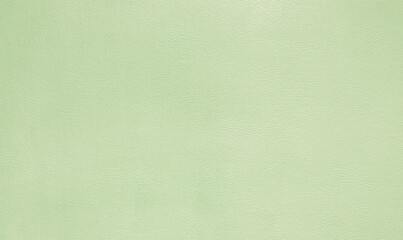 Light Green leather texture background
