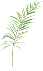 Palm leaf in Watercolor. Decoration element for your design.