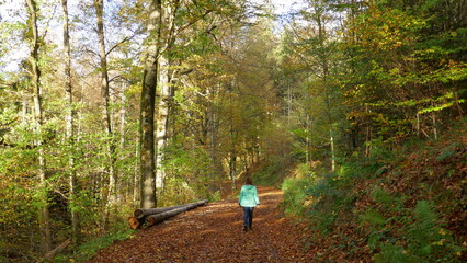 Wanderin unterwegs im herbstlich gef&auml;rbten Wald