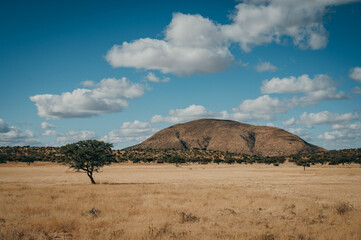 Fototapeta premium Panoramabild - Savanne im Koma Hochland, Namibia