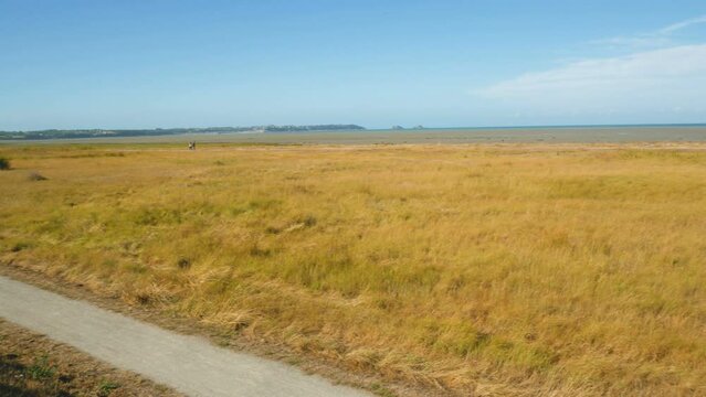 The coastline of Saint Benoit Des Ondes, a village in Brittany close to Cancale, France. Yellow dry field in the foreground. The vast flat surface of the beach during low tide on the background.