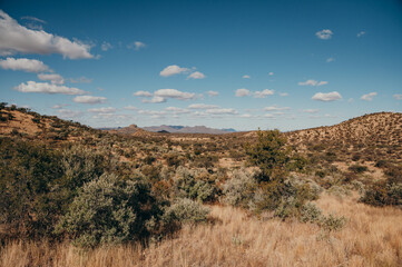 Panorama der Khomas Hochlandsavanne in der Nähe von Windhoek im namibischen Winter