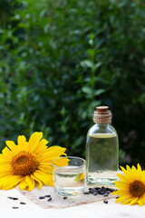 Close-up of sunflower oil in a bottle glass with seeds and sunflower