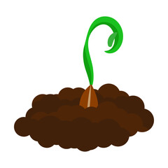 Stage of flower sowing and growing. From soil to green sprout cartoon vector illustration. Plant growth concept