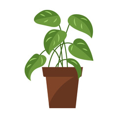 Potted decorative houseplants for interior design. Decoration, gardening, floral vector, isolated on white background. Green plant in pot cartoon vector