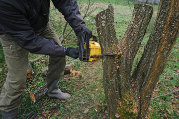 Man is sawing a log with a chainsaw. Preparation of firewood for the winter in a country house