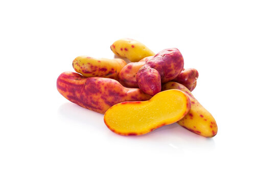 Closeup der bunten Knolle Olluco