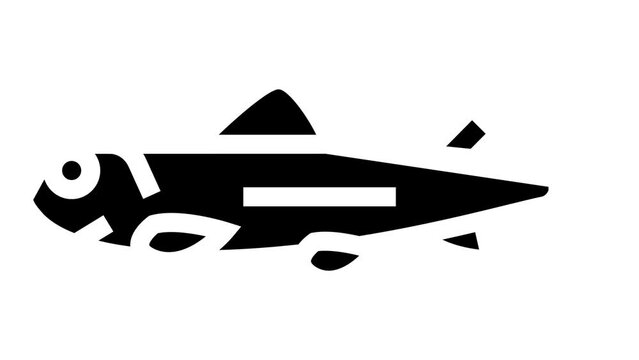 fry salmon glyph icon animation