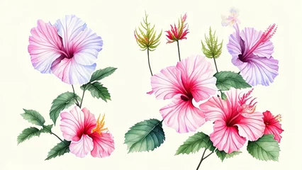 Fotobehang Tropische planten set of flowers