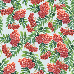 Watercolor seamless background with berries ashberry.