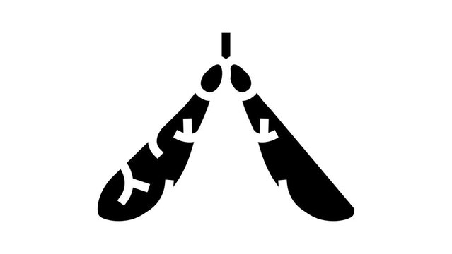 maple tree leaves glyph icon animation
