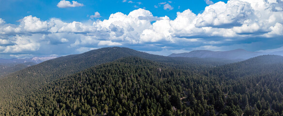 Fir forest landscape, mountain and blue sky background. Panorama aerial drone view.