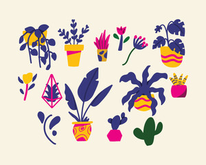 Set of aesthetic plant vibrant color withcactus, haworthia, airplant and banana plant. Vibrant Color Illustration. Vector illustrations in flat style