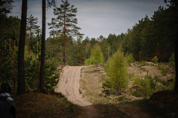 sandy road in the pine forest on a cloudy day © Raivo