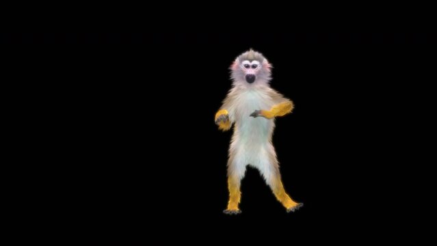 Common squirrel monkey (Saimiri sciureus), monkeys Jump CG fur 3d rendering animal realistic CGI VFX Animation Loop  composition 3d mapping cartoon, Included in the end of the clip with Alpha matte.
