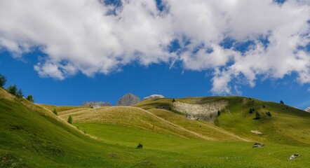 Obraz premium landscape with sky
