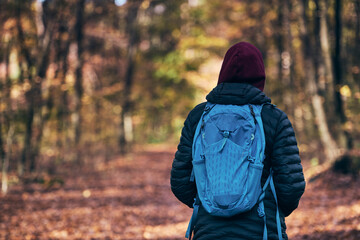 Barwy jesieni. Dziewczyna z plecakiem spaceruje po leśnej ścieżce.
