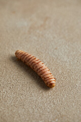 Fresh turmeric, Thai herbs, light yellow. Top viev. Space for text.