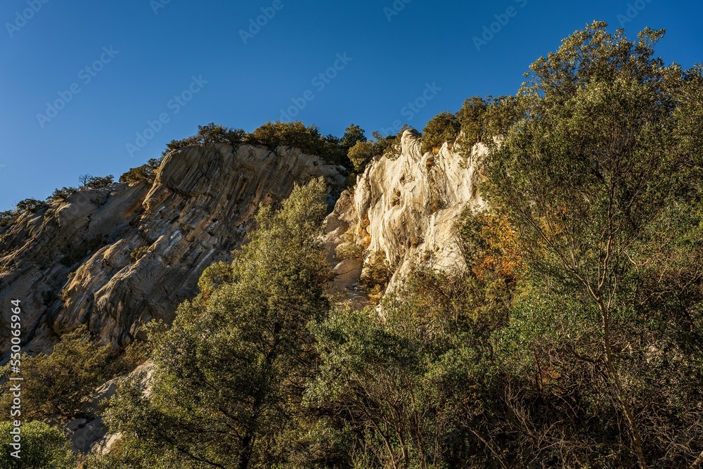 Sticker scenic view of the hiking area sentier blanc-martel with trees under the clear sky in autumn