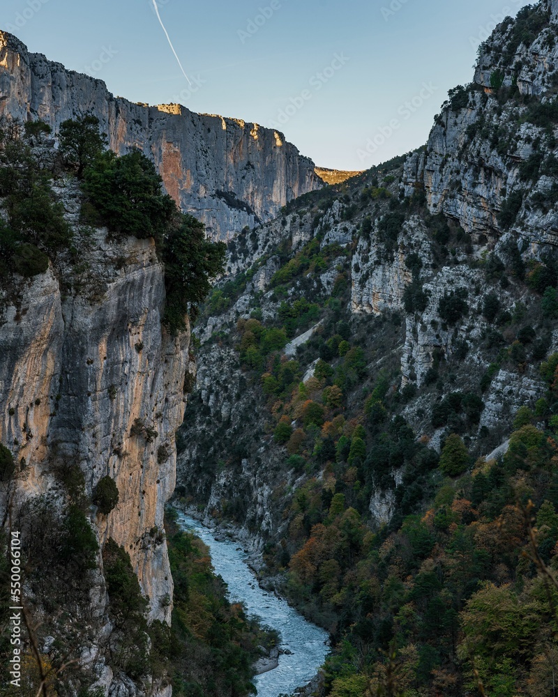 Poster vertical shot of a stream flowing through the hiking area sentier blanc-martel with trees