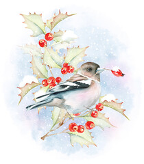 Watercolor Winter Bird Clipart. Christmas Clipart. Xmas Winter illustration. Holiday clip art. Digital Christmas card - 550067505