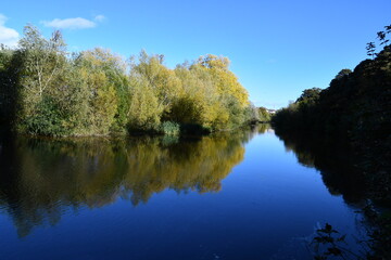 Autumn colours reflection on a river Nore, Kilkenny, Ireland