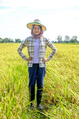 Naklejka na ściany i meble Front view of thai female farmer in traditional dress and headdress standing pose in the middle of the field