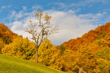 Naklejka premium View of autumn mountain landscape. The Vrsatec National Nature Reserve in the White Carpathian Mountains, Slovakia, Europe.