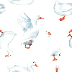 Duck village, pekin ducks seamless patterns. Animals farm, zoo. Cute birds. clipart
 Stock illustration. Hand painted in watercolor.