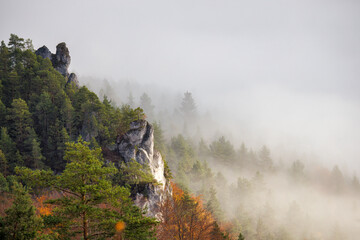 Misty forest valley in autumn morning. The Sulov Rocks, national nature reserve in northwest of Slovakia, Europe.