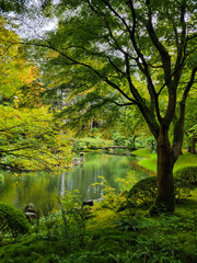 Japanese Garden with a reflective lake