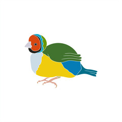 cute fat colorful finches illustrations