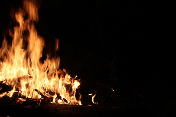A night campfire with a free place on the right side.