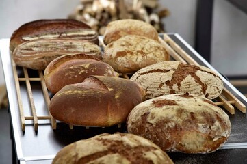 frisch gebackenes Holzofen-Brot aus dem Holzbackofen beim Backtag der Landfrauen