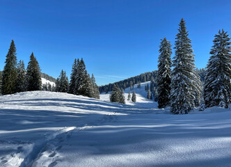 Winterlandschaft auf dem Riesenplateau im Hochries Gebiet, Alpen, Chiemgau, Bayern, Deutschland