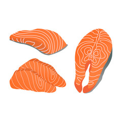 Fresh salmon piece, steak isolated on white background vector illustration