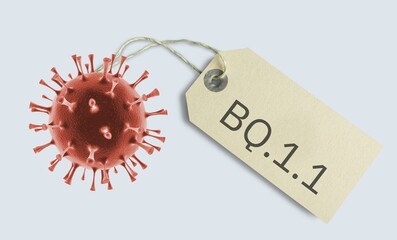 BQ.1.1 new Omicron variant virus concept