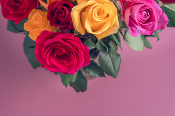Fototapeta na wymiar Bunch of colorful roses. Beautiful bouquet of roses in variety of colors on dusty pink background with copy space