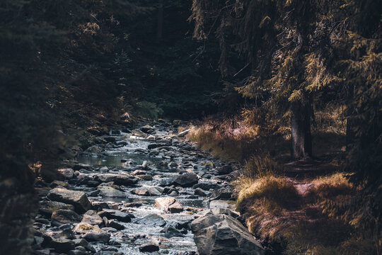 Moody Foto von einem kleinen Flusslauf im Erzgebirge 