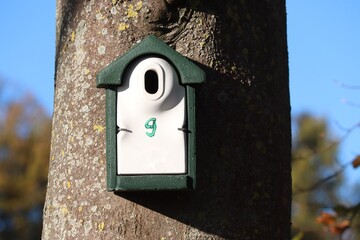 Nistkasten am Baum 