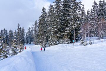 Savoie, France - 15.02.2022: Panorama of ski fields with skiers in Les Arcs, snow fir trees...