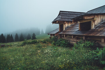 Forest shepherd's wooden house with wide windows and spooky misty forest landscape background. Western Tatras mountains, Slovakia.