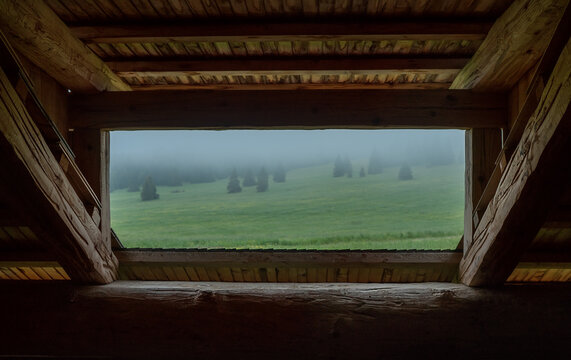 Forest house wide window with a spooky misty forest landscape background