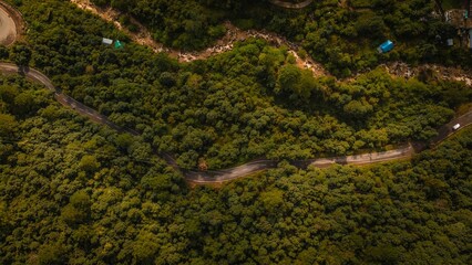 Top view of a road passing through the green forest and small river with house, Himachal Pradesh