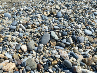 Background, texture of small natural multi-colored stones, small pebbles on the beach