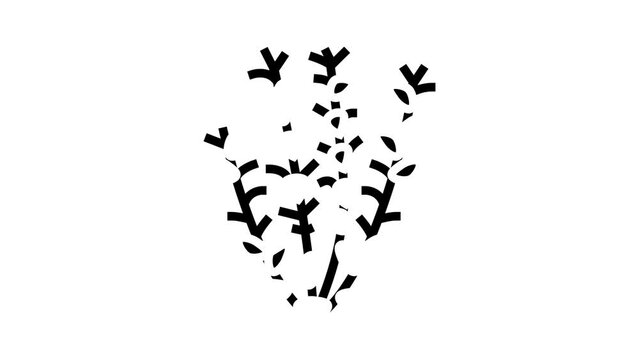 red ludwigia glyph icon animation