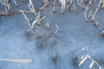 	真冬に池が凍った景色　