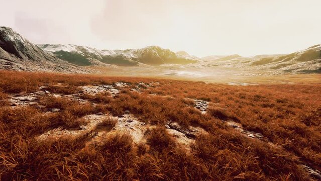 dry grass fields and mountains in Nepal